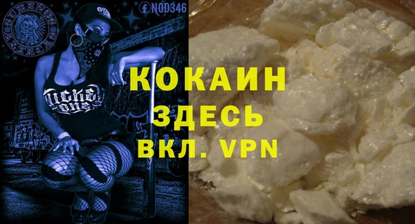 спайс Богданович