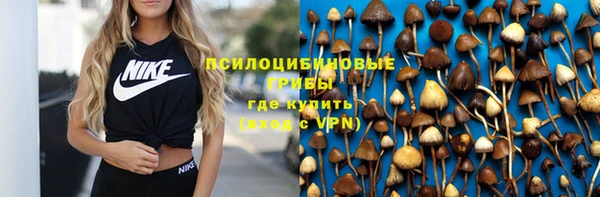 амф Богородицк