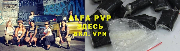 спайс Богданович
