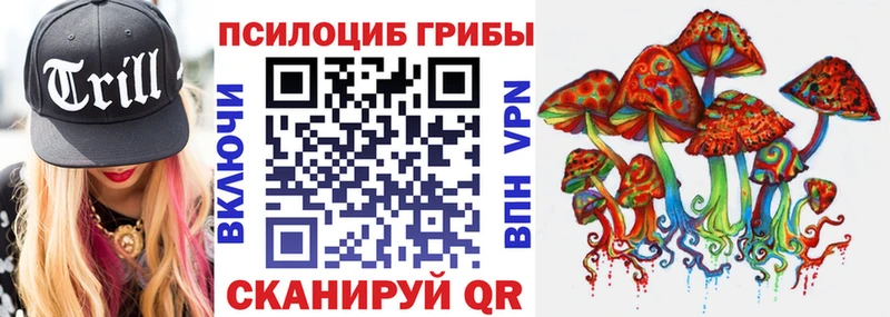 Псилоцибиновые грибы Psilocybine cubensis  купить  сайты  Болохово 